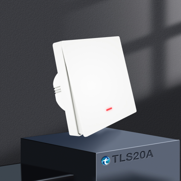 20A Smart Switch