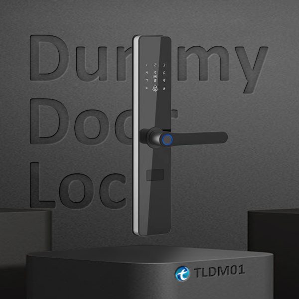 Dummy Door Lock