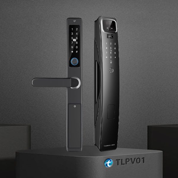 Smart Grill + Smart Wooden Palm Vein Door Lock Combo